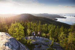 Koli_kansallispuisto.jpg