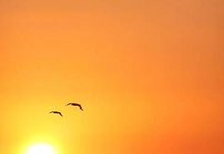 Onko t&auml;h&auml;nkin syyt&auml; varautua?<br />
Jos kuolema kohtaa ulkomailla