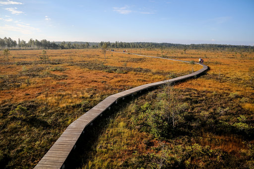 Nemunas Delta. Kuvaaja Julius Kalinskas