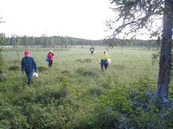ML0808_08132.jpg
