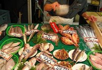 Pikku-Kioton loistoa