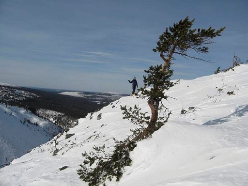 Lapissa kehitettiin ainutlaatuinen<br />
järjestelmä pelastamaan eksyneen