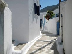 ML1004_19882.jpg
