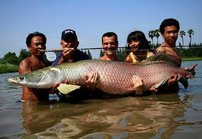 Annos oudompaa Thaimaata