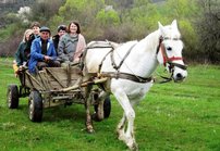 Matka 1960-luvulle: Maaseuturomantiikkaa<br />
hevosrattailla Romanian kev&auml;&auml;ss&auml;