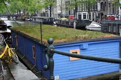 ML1011_22497.jpg