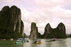 ML1110_02674.jpg