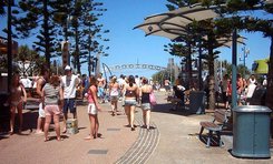 ML1311_07236.jpg