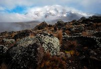 Kepe&auml;sti Afrikan katolle<br />
Tansaniassa