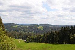 ML1506_01117.jpg