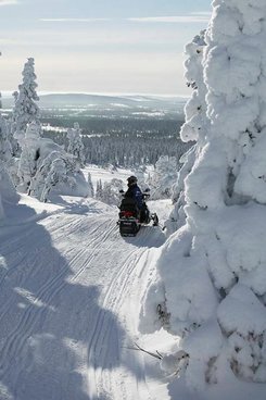 MUUT11_20273.jpg