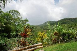 MUUT13_08137.jpg