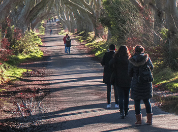 tours limerick student special north paddywagon