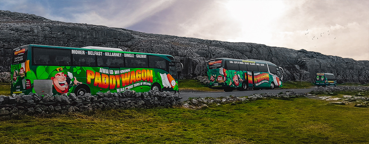 Work with us Paddywagon Tours
