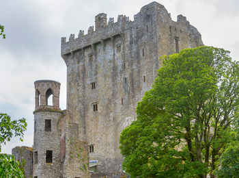 cork tour kinsale blarney shore tours coach paddywagon passengers cruise