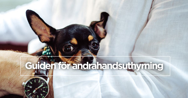 Den kompletta guiden för dig som vill hyra ut lägenheten