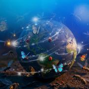 MIRAMAR MAGIKOA - Lunes, 08/12