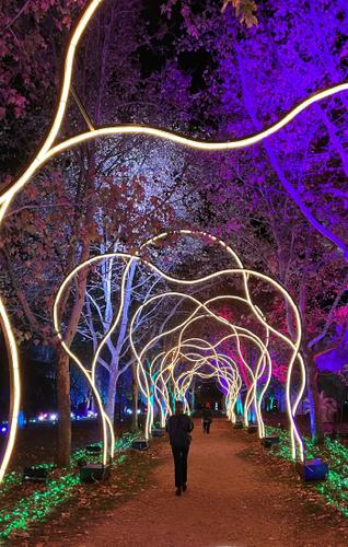 Cartel del evento (vertical)