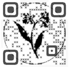Aveda QR Code