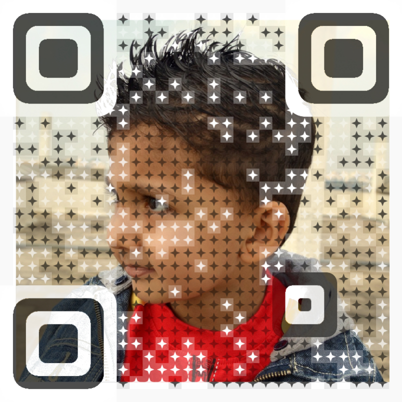 Visual QR Code