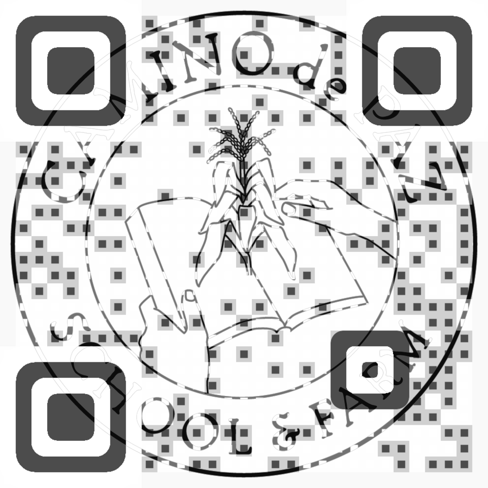 Visual QR Code