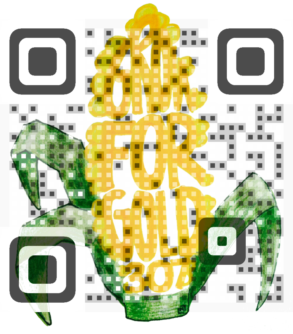 Visual QR Code