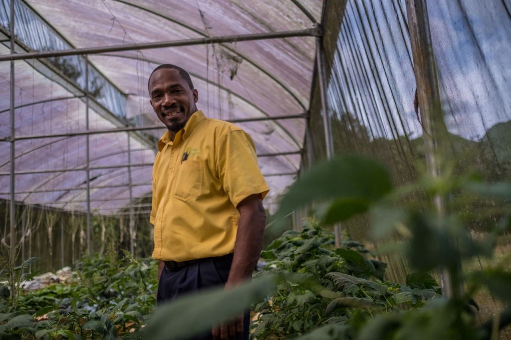 Director of the Village Academy Sydney checks out one of the project's greenhouses