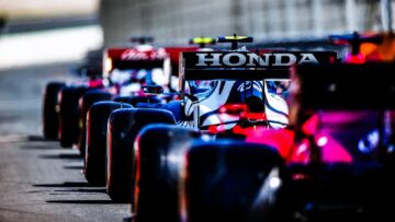 Gasly Nederland