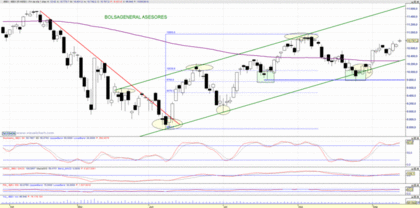Ibex B.G.