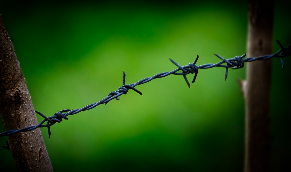 Barb wire forex