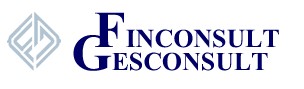 logo finconsult
