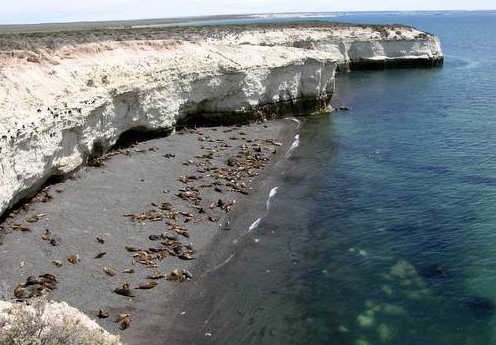 peninsula_valdes