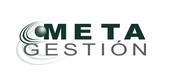 Metagestión