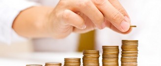 Ahorro voluntario