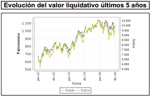 Valor liquidativo Bankia Bolsa Española