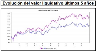 Valor liquidativo Bankinter Bolsa España