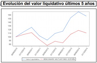 Valor liquidativo Mutuafondo España