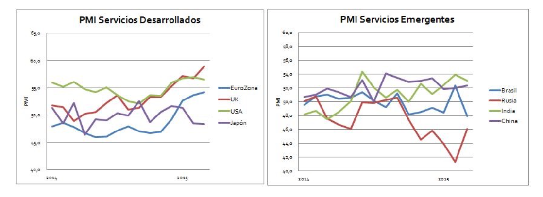 PMI servicios