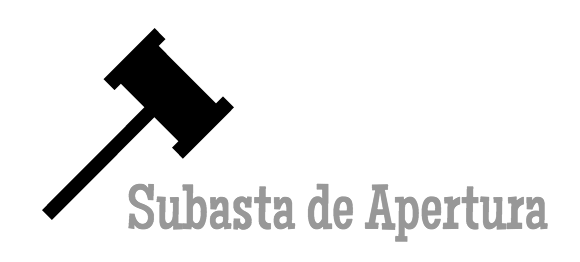 Subasta de apertura de la BVC