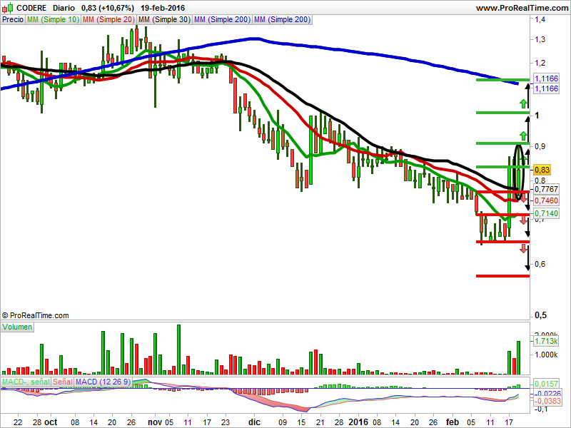 Codere Velas japonesas