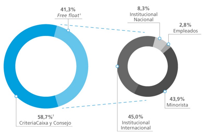 Distribución del capital social por tipo de accionista