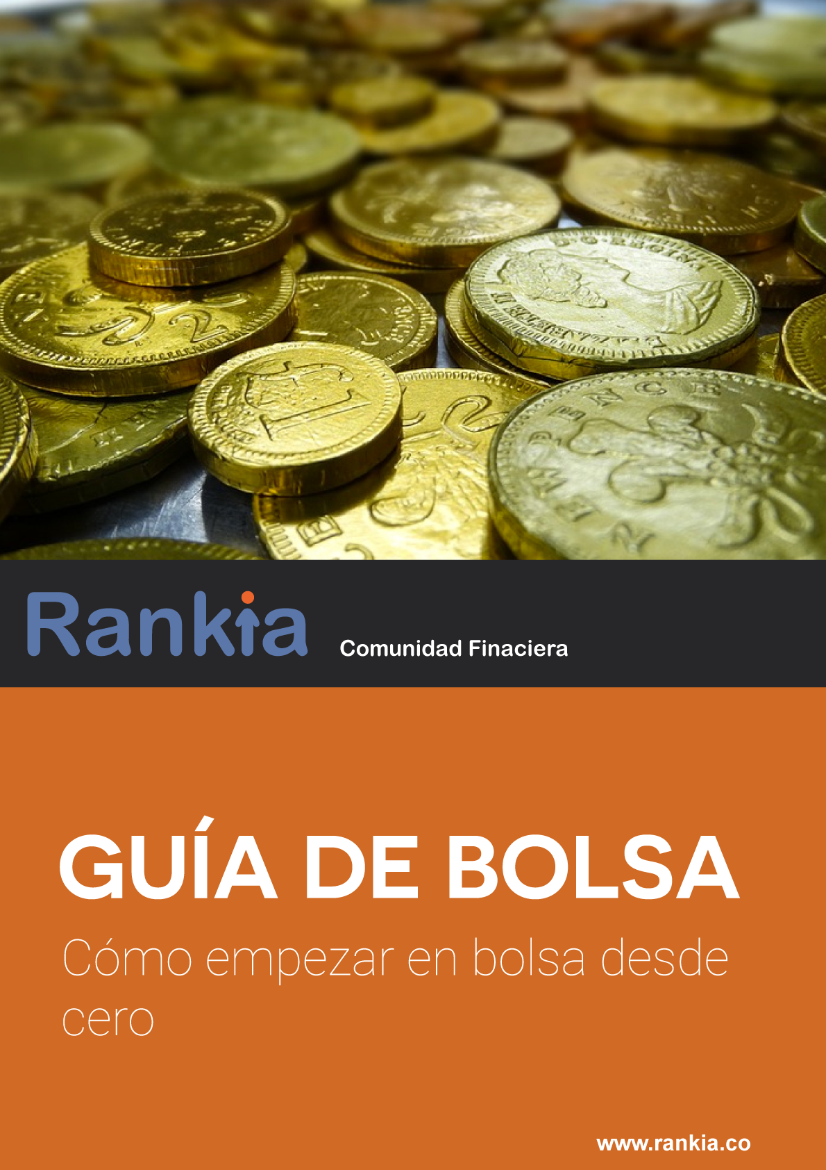 Guía de bolsa Colombia