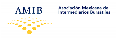 AMIB