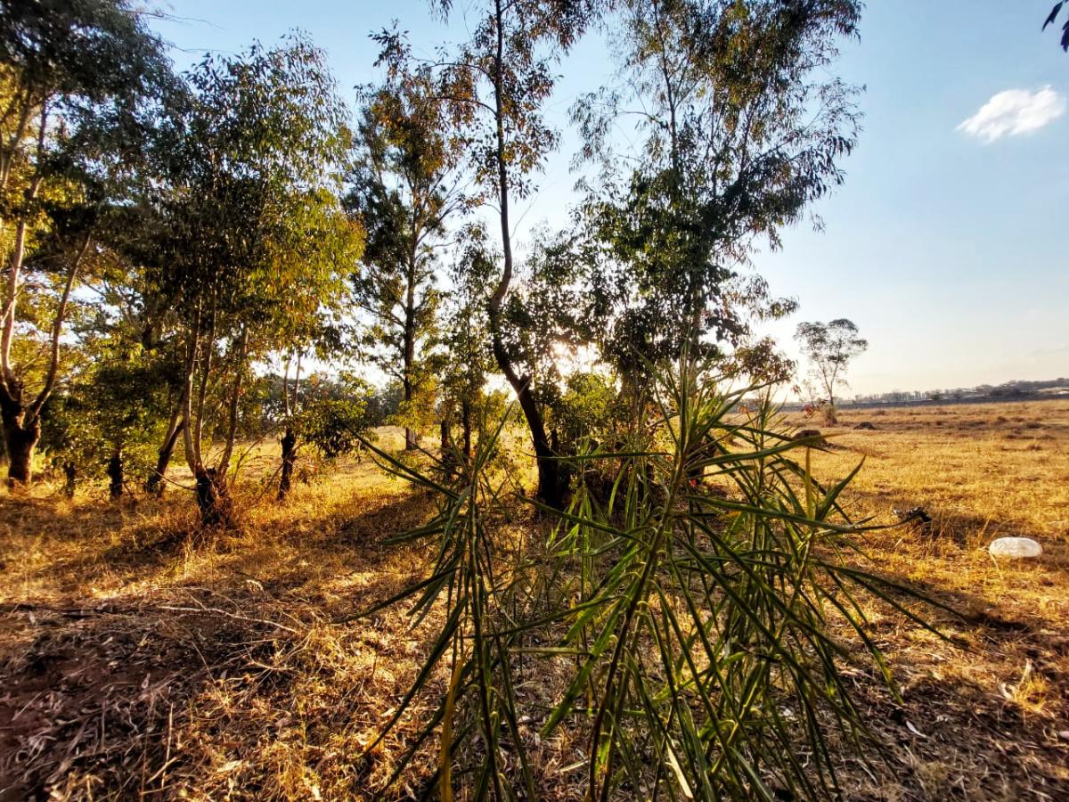 Smallholding For Sale in Walker Fruit Farms IOL Property