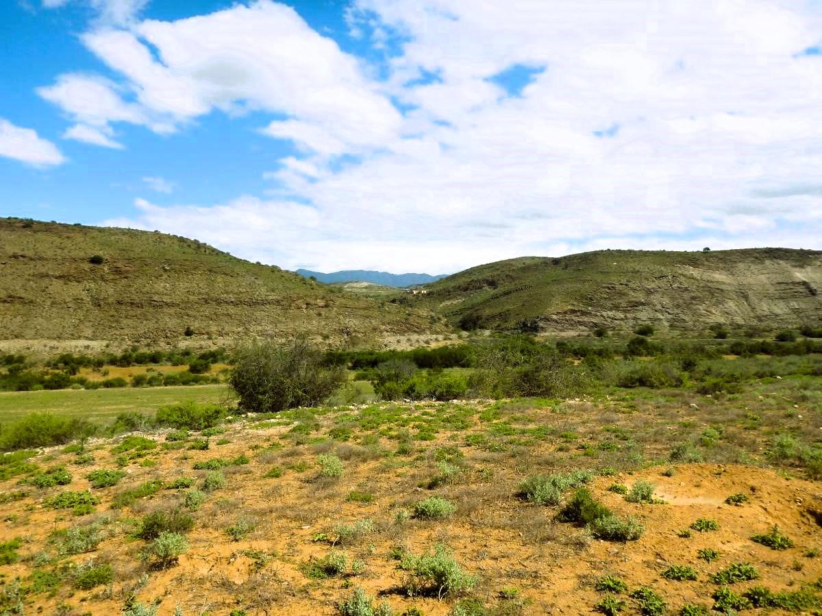 Farm For Sale in Van Wyksdorp IOL Property