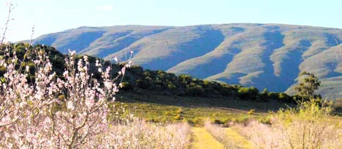 Farm For Sale in Van Wyksdorp IOL Property