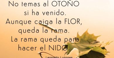 no_temas_al_otoño_1_blog_regalva