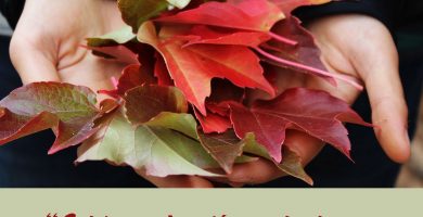 cuida_el_jardín_en_invierno_blog_regalva