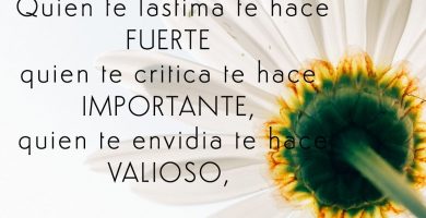 quien te critica_blog_regalva