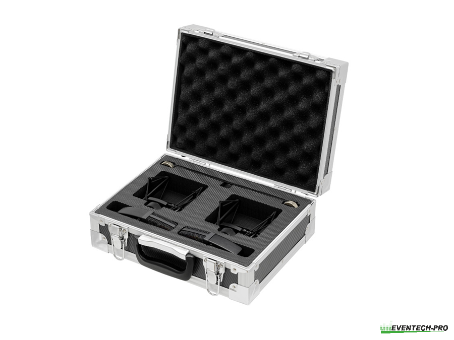 2fach-Case sE Electronics sE4100
